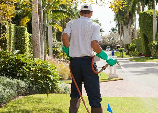About Fort Mill SC Pest Control Pros